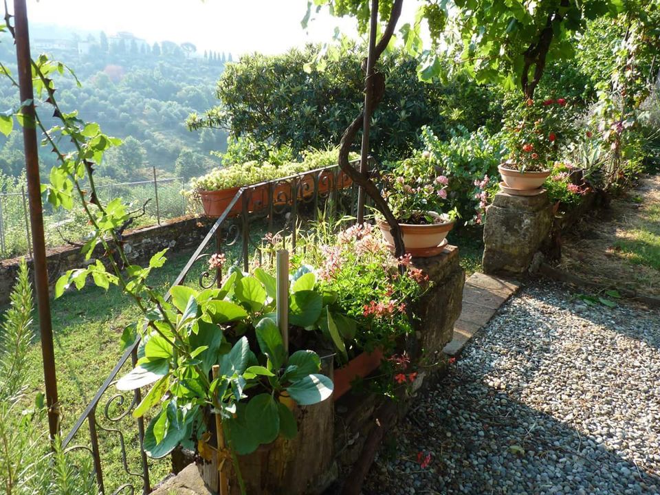 Villa i Lucca, Lucca - foto 5