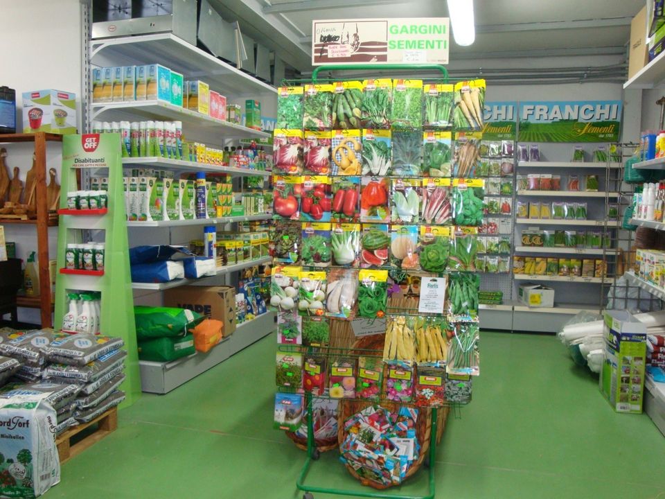 Erhvervsejendom i Viareggio, Lucca - foto 1