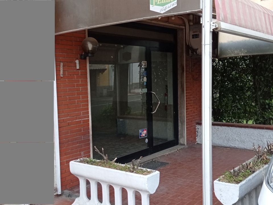 Erhvervsejendom i Lucca, Lucca - foto 1