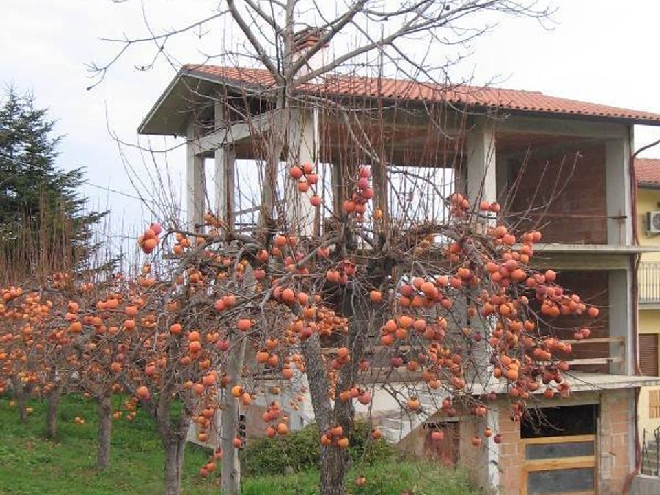 Byhus i San Martino sulla Marrucina, Chieti - foto 1