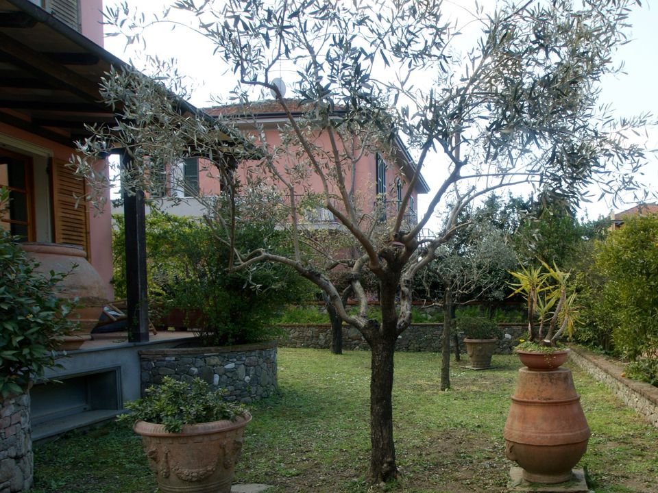 Villa a Sarzana, La Spezia - foto 5