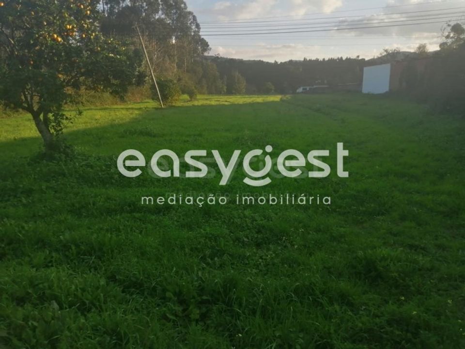 Terreno Condeixa-a-Nova, Coimbra - foto 1
