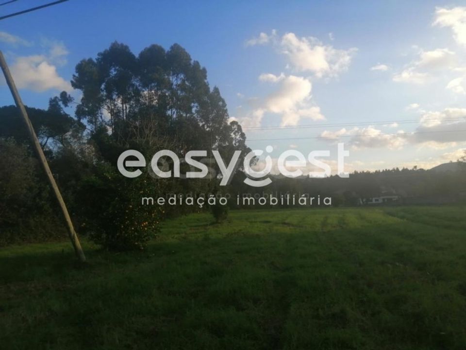Terreno Condeixa-a-Nova, Coimbra - foto 3