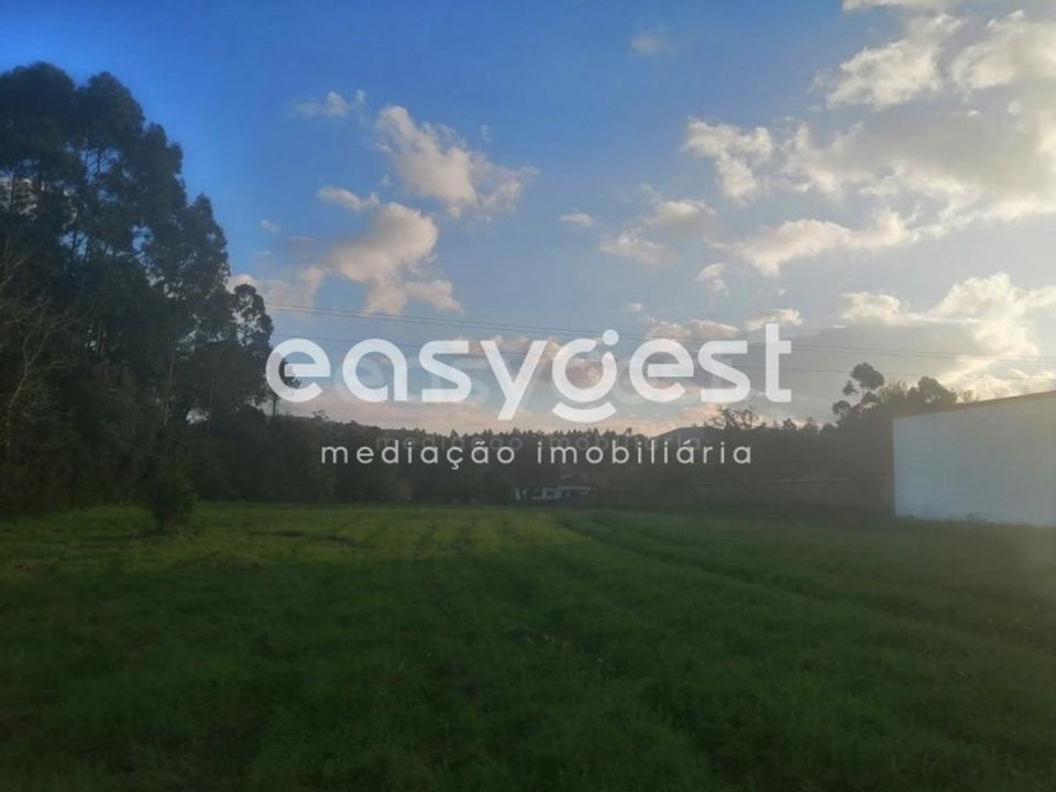 Terreno Condeixa-a-Nova, Coimbra - foto 5