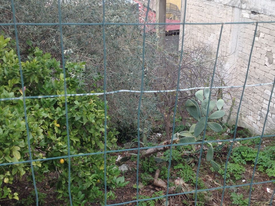 Helårsgrund i Canicattini Bagni, Siracusa - foto 1