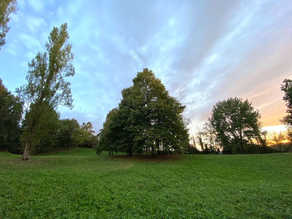 Erhvervsejendom i Albinea, Reggio Emilia - foto 1