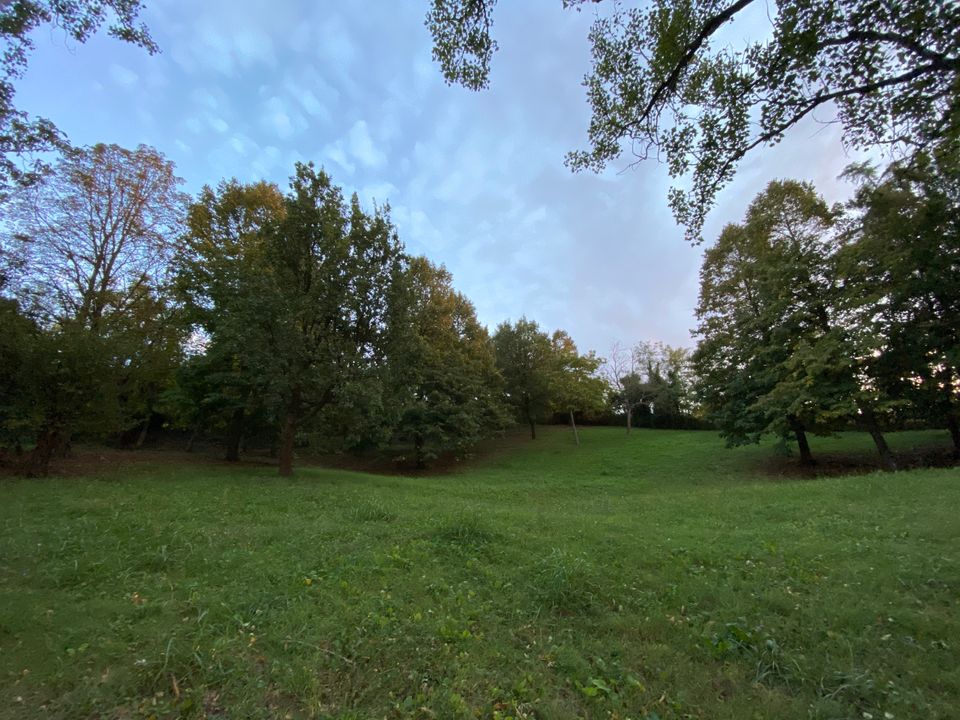 Erhvervsejendom i Albinea, Reggio Emilia - foto 2
