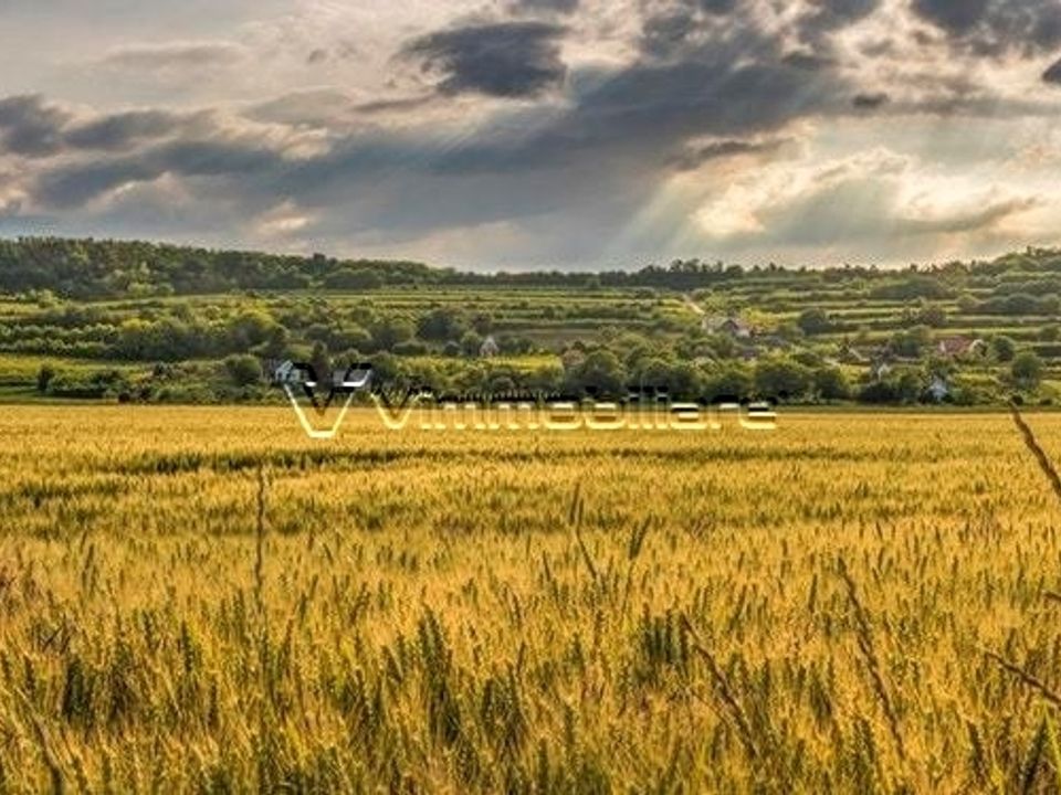 Helårsgrund i Albettone, Vicenza - foto 1