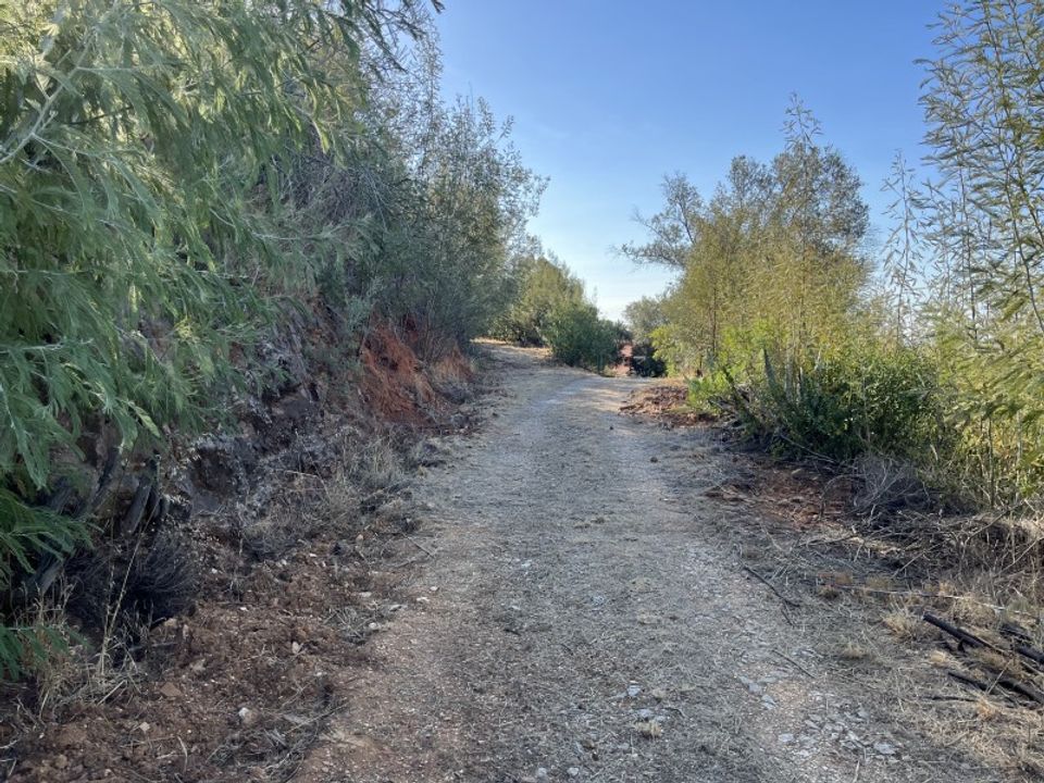 Helårsgrund i Monchique, Faro - foto 5