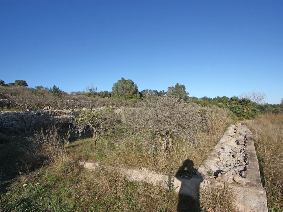 Grond in Benimeli, Alicante - foto 2