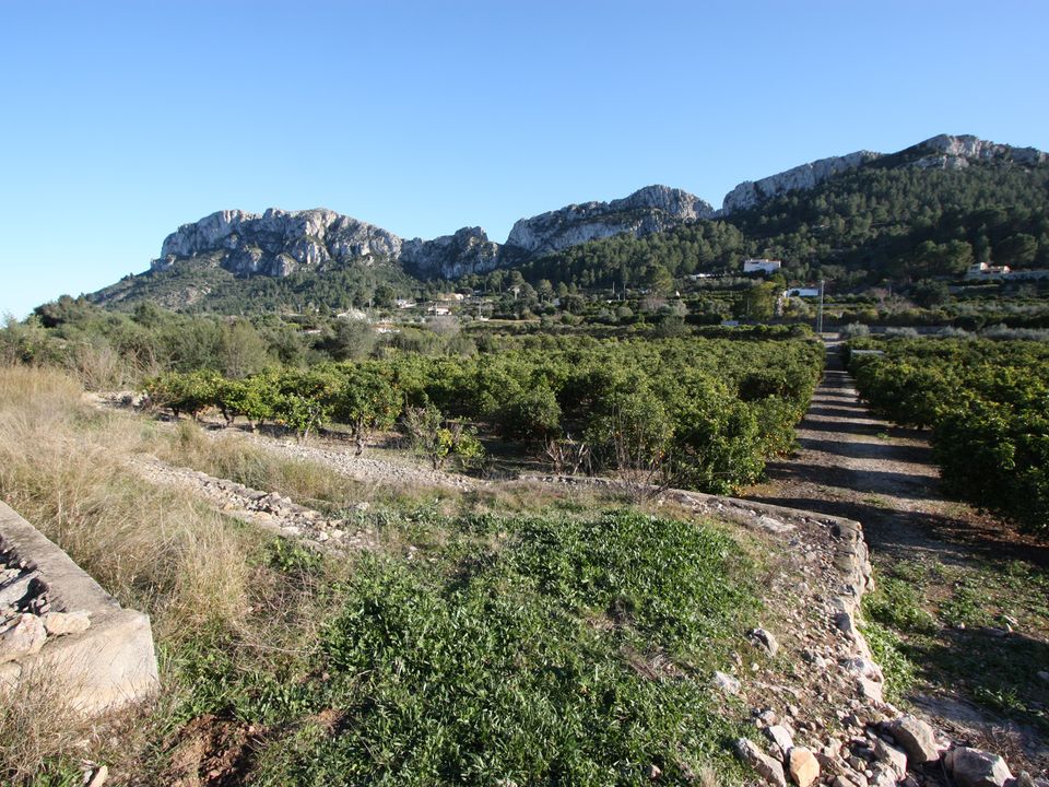 Grond in Benimeli, Alicante - foto 3