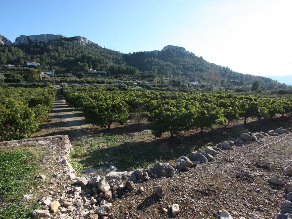 Grond in Benimeli, Alicante - foto 4