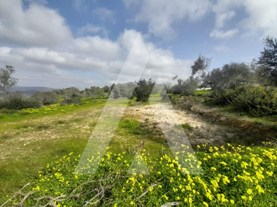 Helårsgrund i Paderne, Faro - foto 2