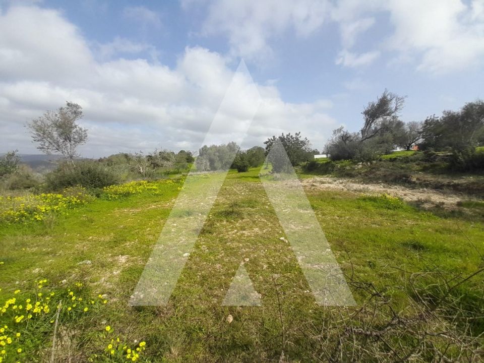 Helårsgrund i Paderne, Faro - foto 3