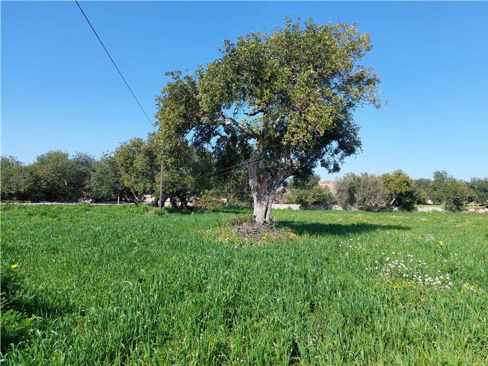 Helårsgrund i Scicli, Ragusa - foto 1
