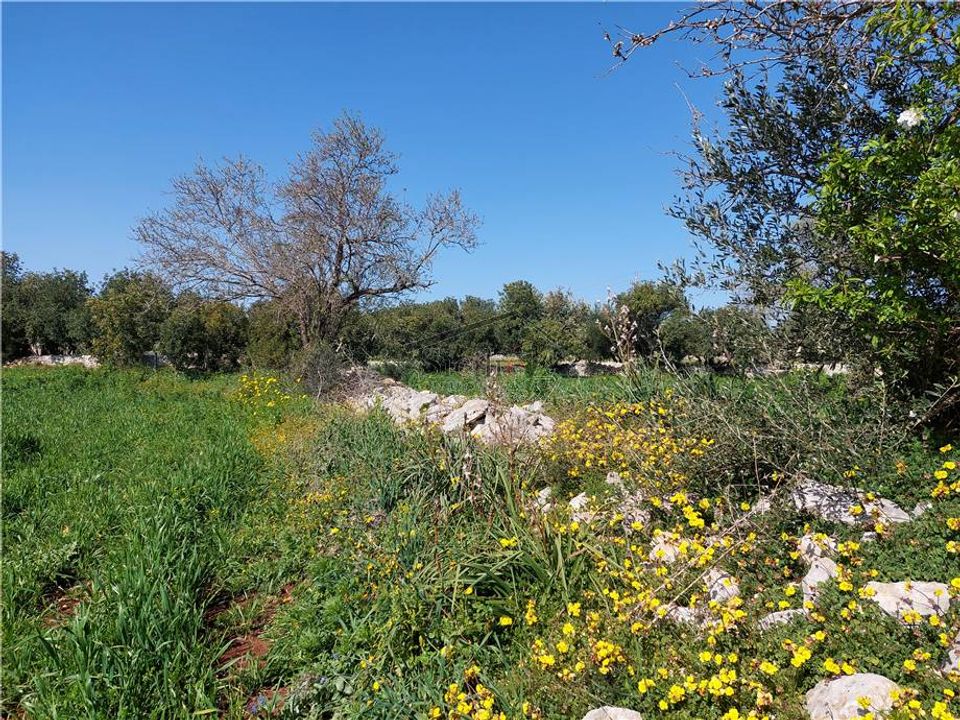Helårsgrund i Scicli, Ragusa - foto 5
