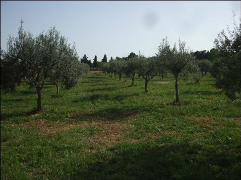 Erhvervsejendom i Palazzolo Acreide, Siracusa - foto 1