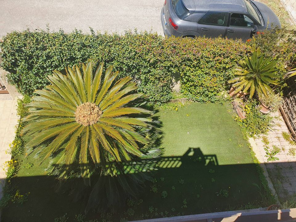 Villa i Modica, Ragusa - foto 2