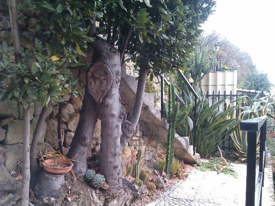 Lejlighed i Ventimiglia, Imperia - foto 4