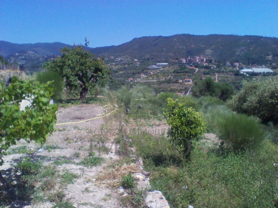 Helårsgrund i Bordighera, Imperia - foto 3