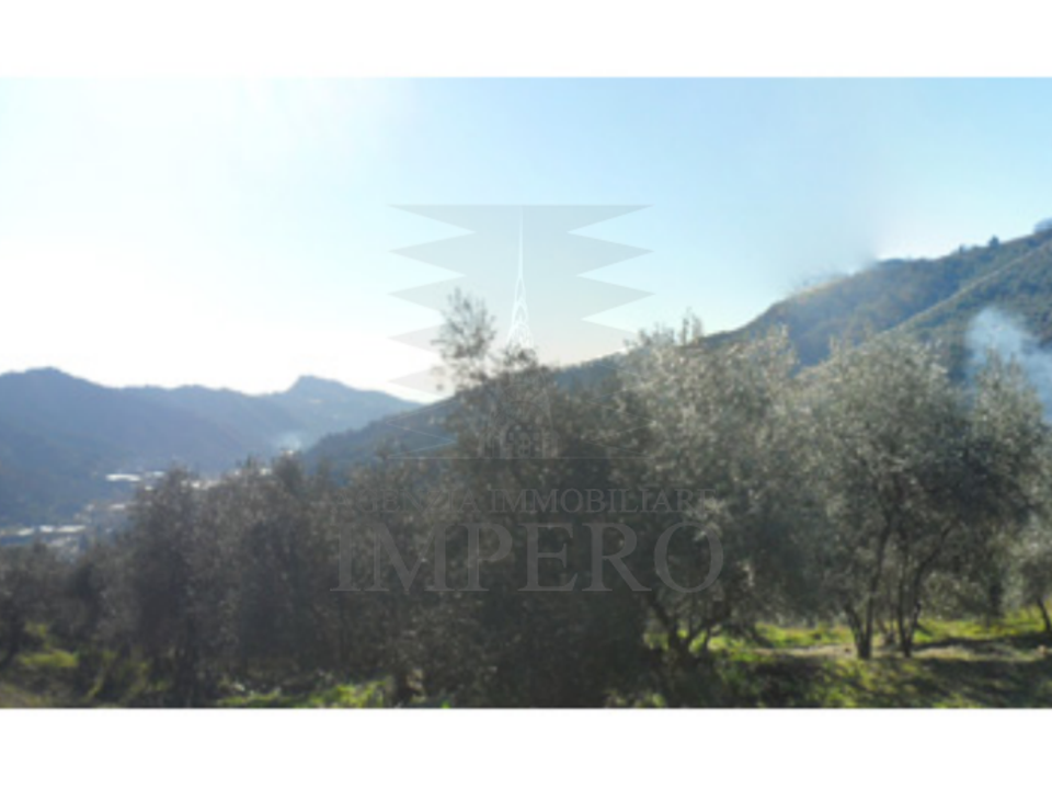 Erhvervsejendom i Dolceacqua, Imperia - foto 4
