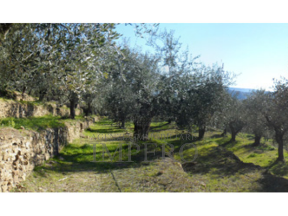 Erhvervsejendom i Dolceacqua, Imperia - foto 5