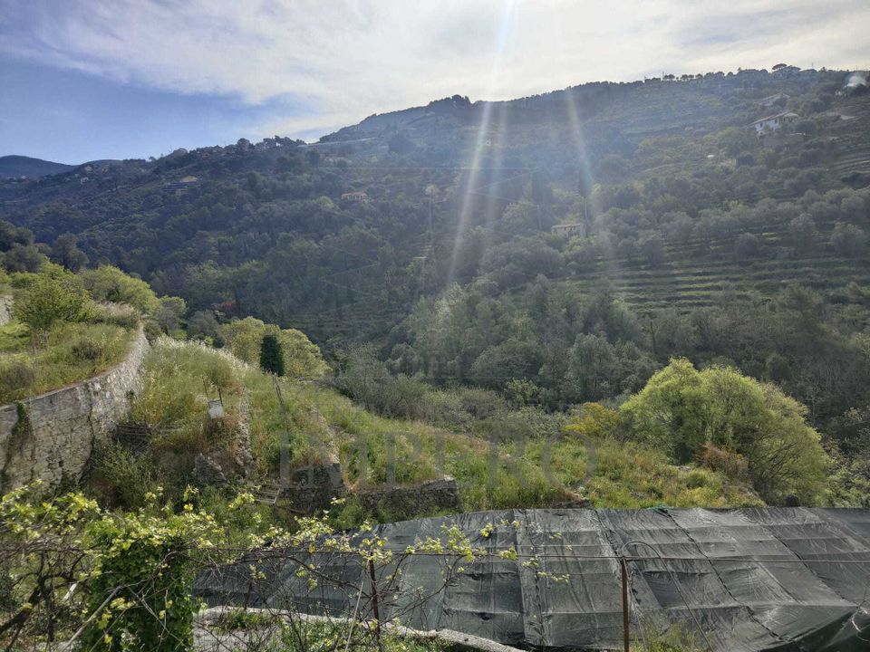 Erhvervsejendom i Vallebona, Imperia - foto 1