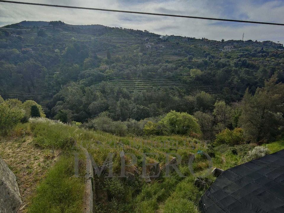 Erhvervsejendom i Vallebona, Imperia - foto 2