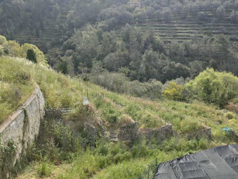 Erhvervsejendom i Vallebona, Imperia - foto 3