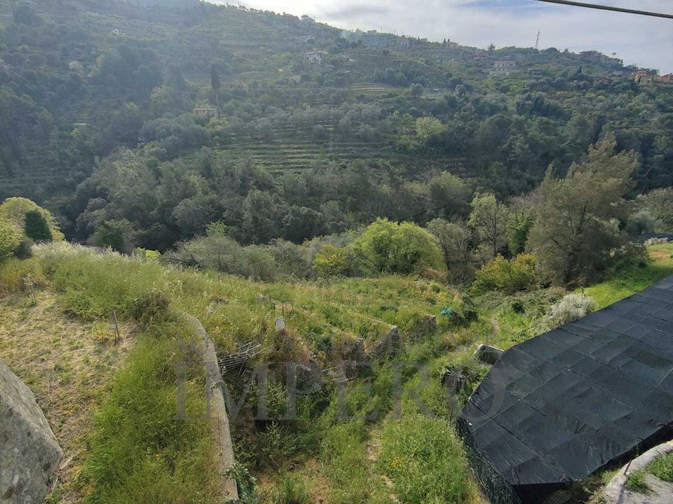 Erhvervsejendom i Vallebona, Imperia - foto 4