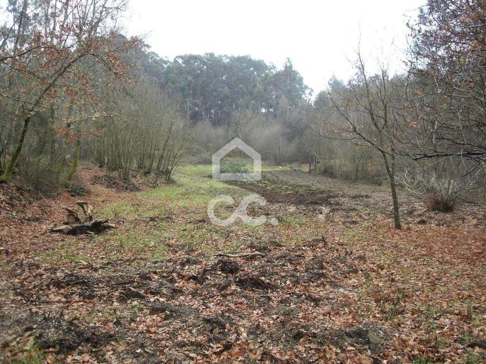 Helårsgrund i Guimaraes, Braga - foto 1
