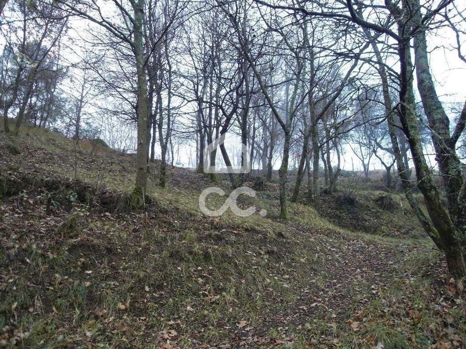Helårsgrund i Guimaraes, Braga - foto 2