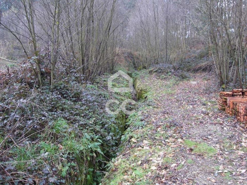Helårsgrund i Guimaraes, Braga - foto 4