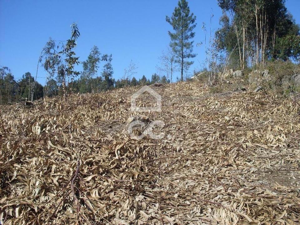 Terreno en Lordelo, Braga - foto 4