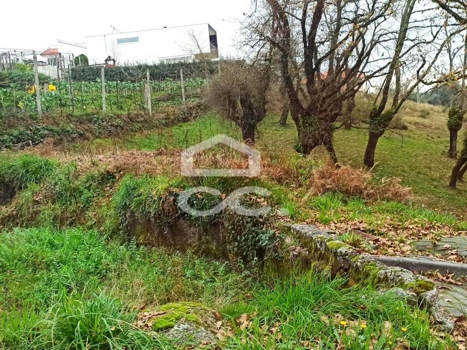 Helårsgrund i Fafe, Braga - foto 5
