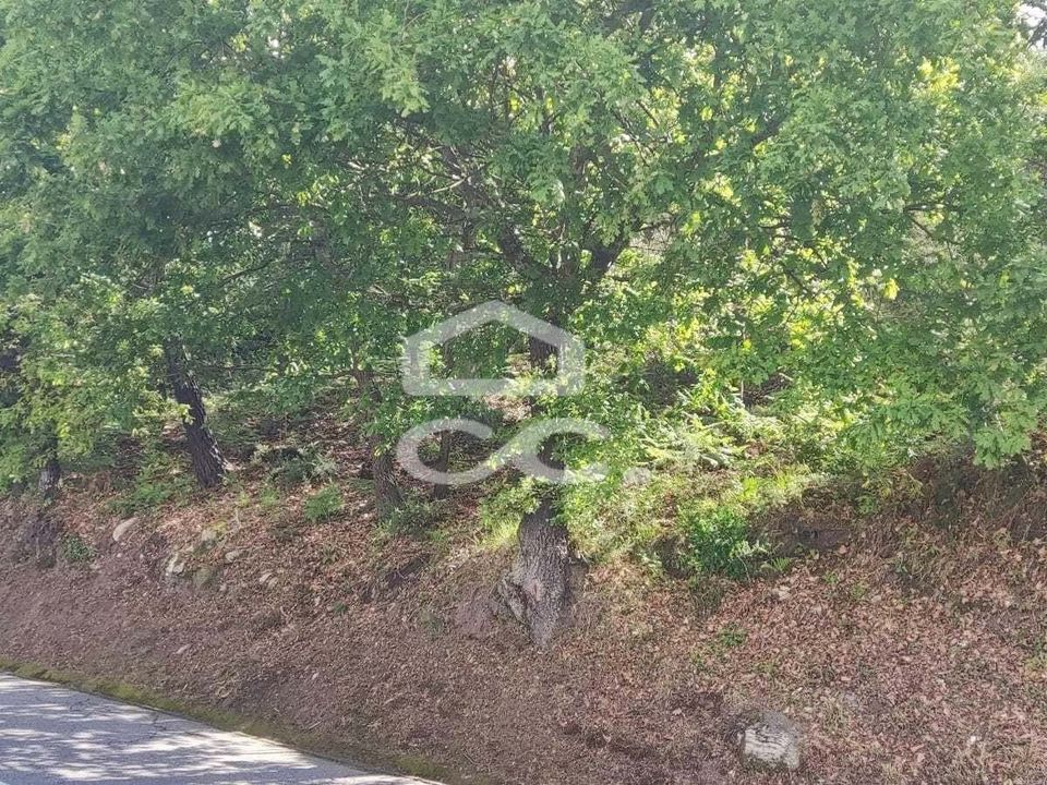 Helårsgrund i Fafe, Braga - foto 1
