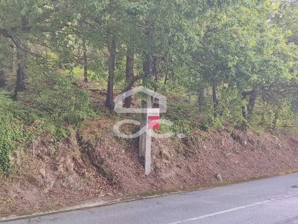 Helårsgrund i Fafe, Braga - foto 3
