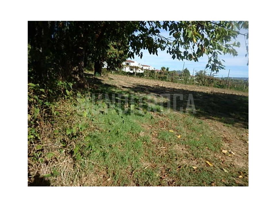 Granja a Braga, Braga - foto 4