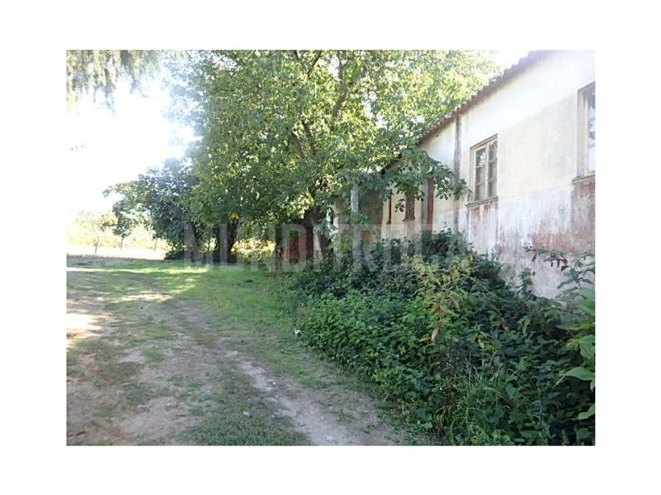 Granja a Braga, Braga - foto 5