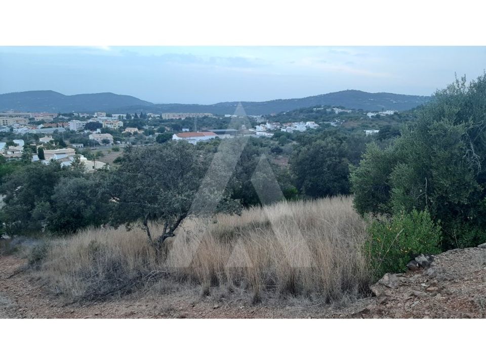Helårsgrund i Sao Bras de Alportel, Faro - foto 2