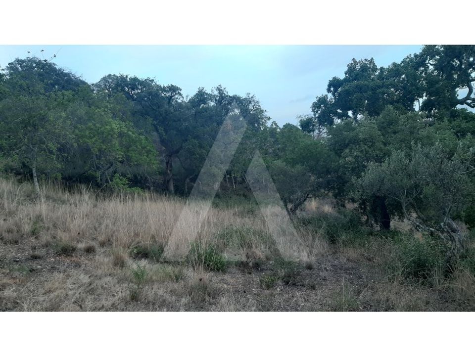 Helårsgrund i Sao Bras de Alportel, Faro - foto 5