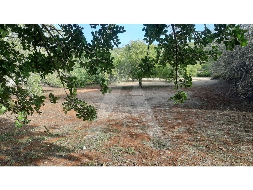 Helårsgrund i Sao Bras de Alportel, Faro - foto 1