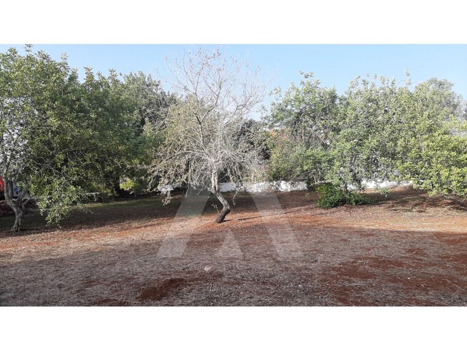 Helårsgrund i Sao Bras de Alportel, Faro - foto 5
