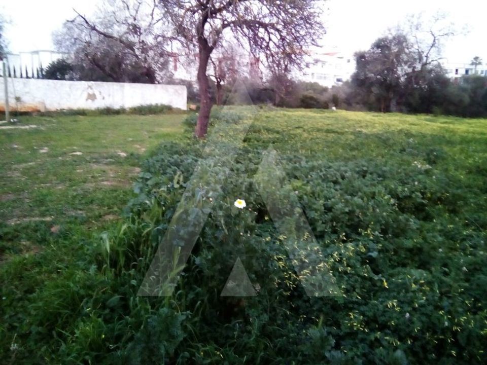 Helårsgrund i Almancil, Faro - foto 1