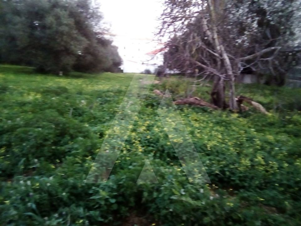Helårsgrund i Almancil, Faro - foto 2