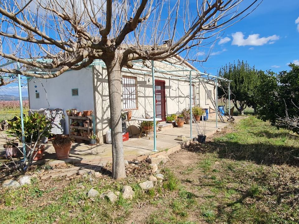 Finca i Benissanet, Tarragona - foto 4