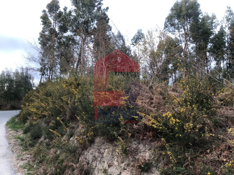 Helårsgrund i Vila Verde, Braga - foto 3