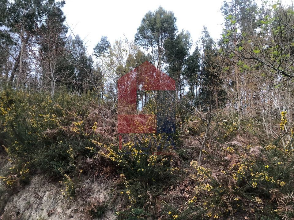 Helårsgrund i Vila Verde, Braga - foto 4
