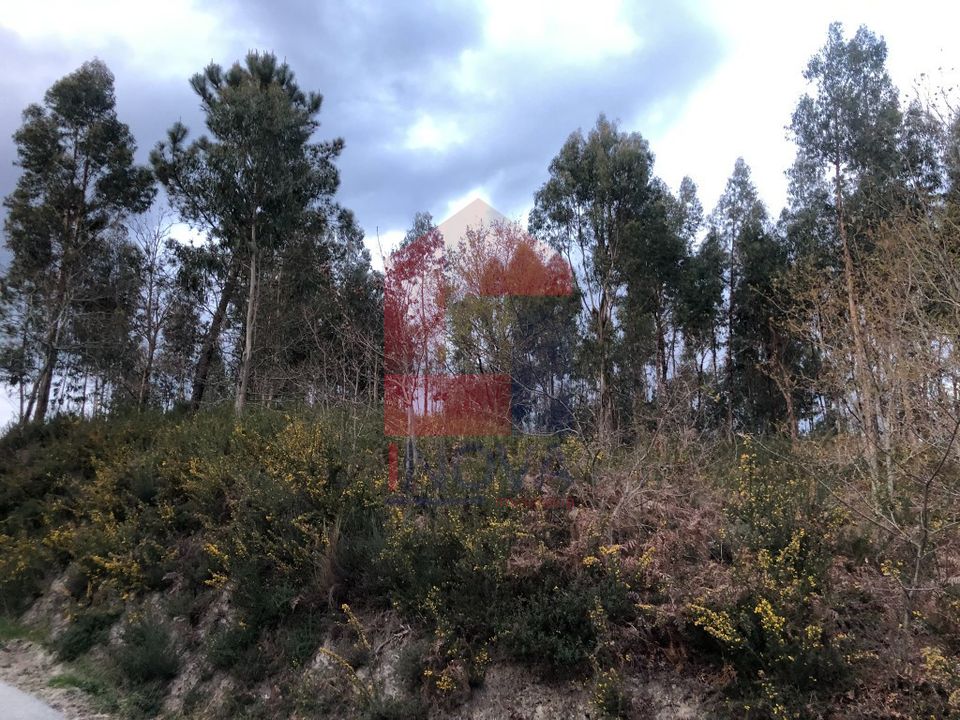 Helårsgrund i Vila Verde, Braga - foto 5