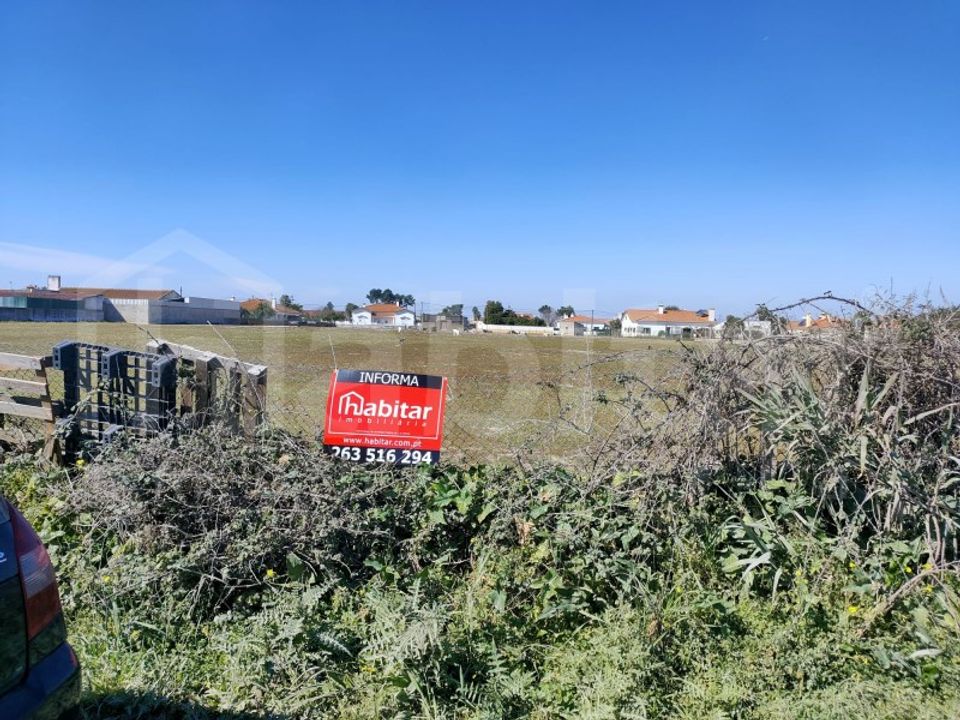 Helårsgrund i Benavente, Santarem - foto 3